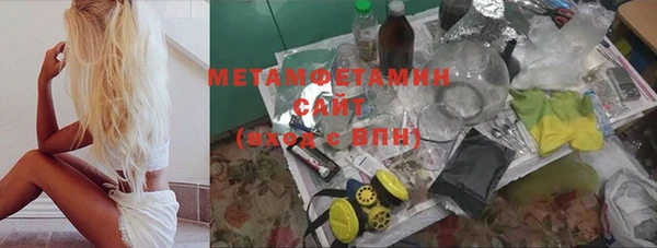 ПСИЛОЦИБИНОВЫЕ ГРИБЫ Вяземский