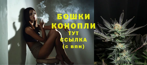 ПСИЛОЦИБИНОВЫЕ ГРИБЫ Вяземский