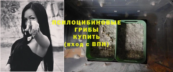 трава Вязники