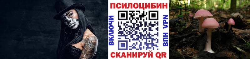 закладки  Дагестанские Огни  Псилоцибиновые грибы Psilocybine cubensis 
